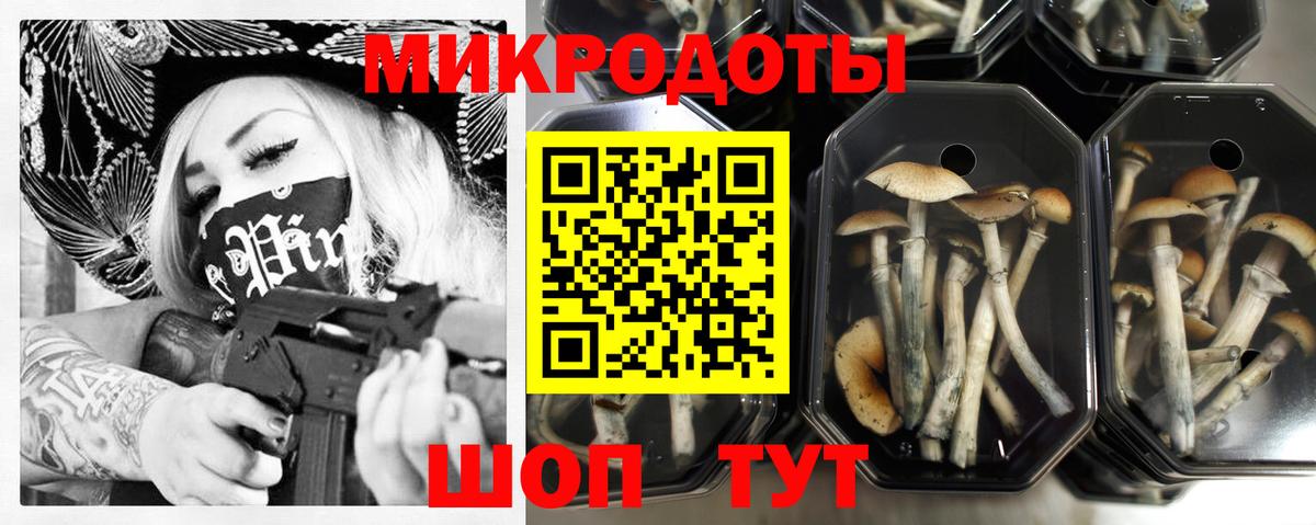 Галлюциногенные грибы мухоморы  Вход с VPN  Усть-Джегута 